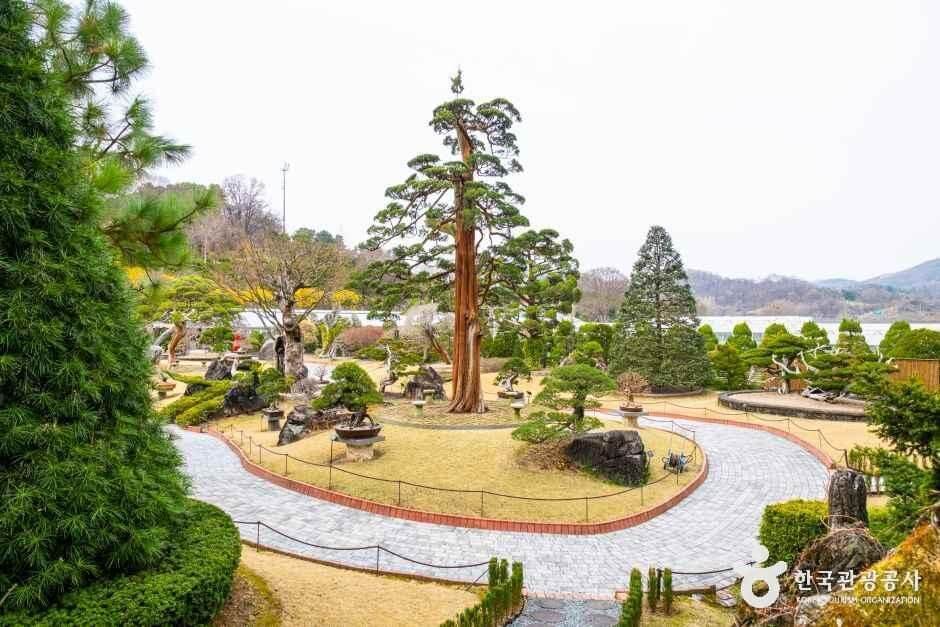 베어트리파크 입장료