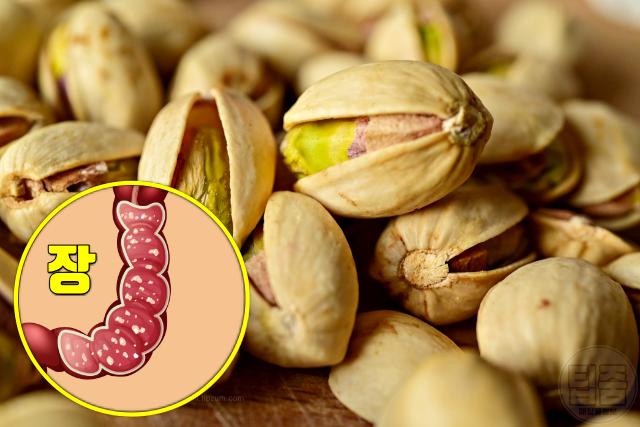 협심증 예방에 좋은 음식 피스타치오