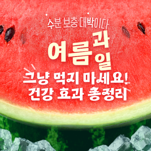 여름 과일 수박 사진