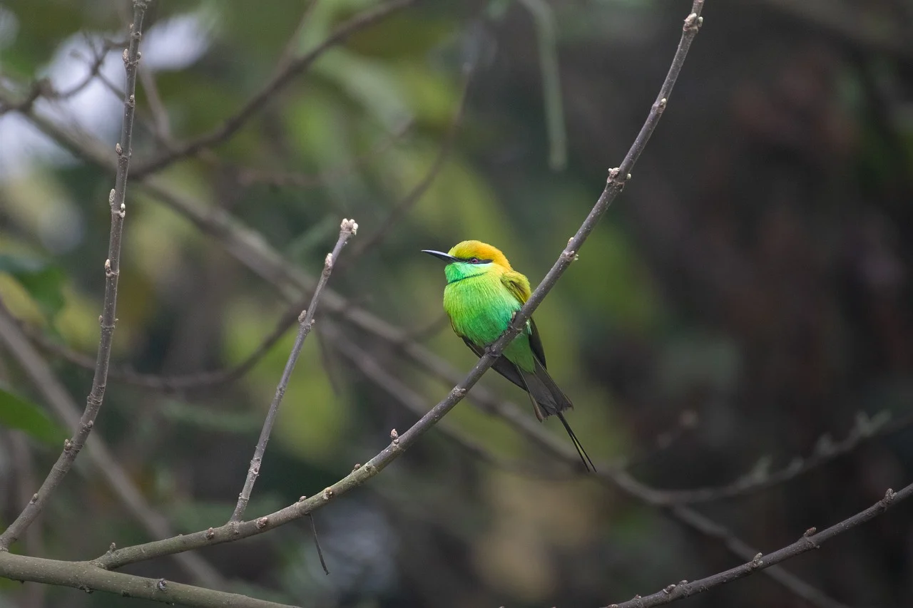 제18편 매몰 비용 오류(Sunk Cost Fallacy): 회수 불가능한 과거가 왜 미래 결정을 지배하는가