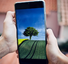 알뜰폰-번호-이동