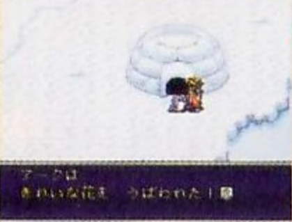 꽃을 준비해서 펭귄과 이야기를 나누자