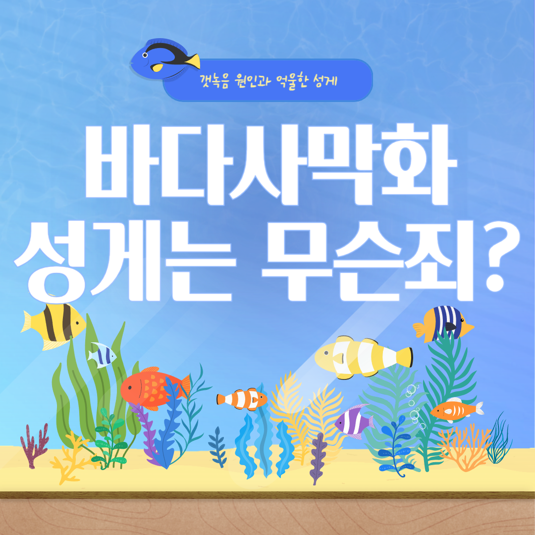 바다사막화와성게