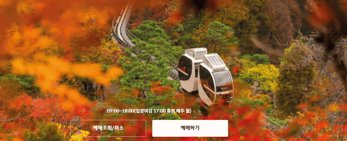 화담숲 예약 / 화담숲 단풍시기 2024 / 화담숲 모노레일 / 단풍 명소 화담숲