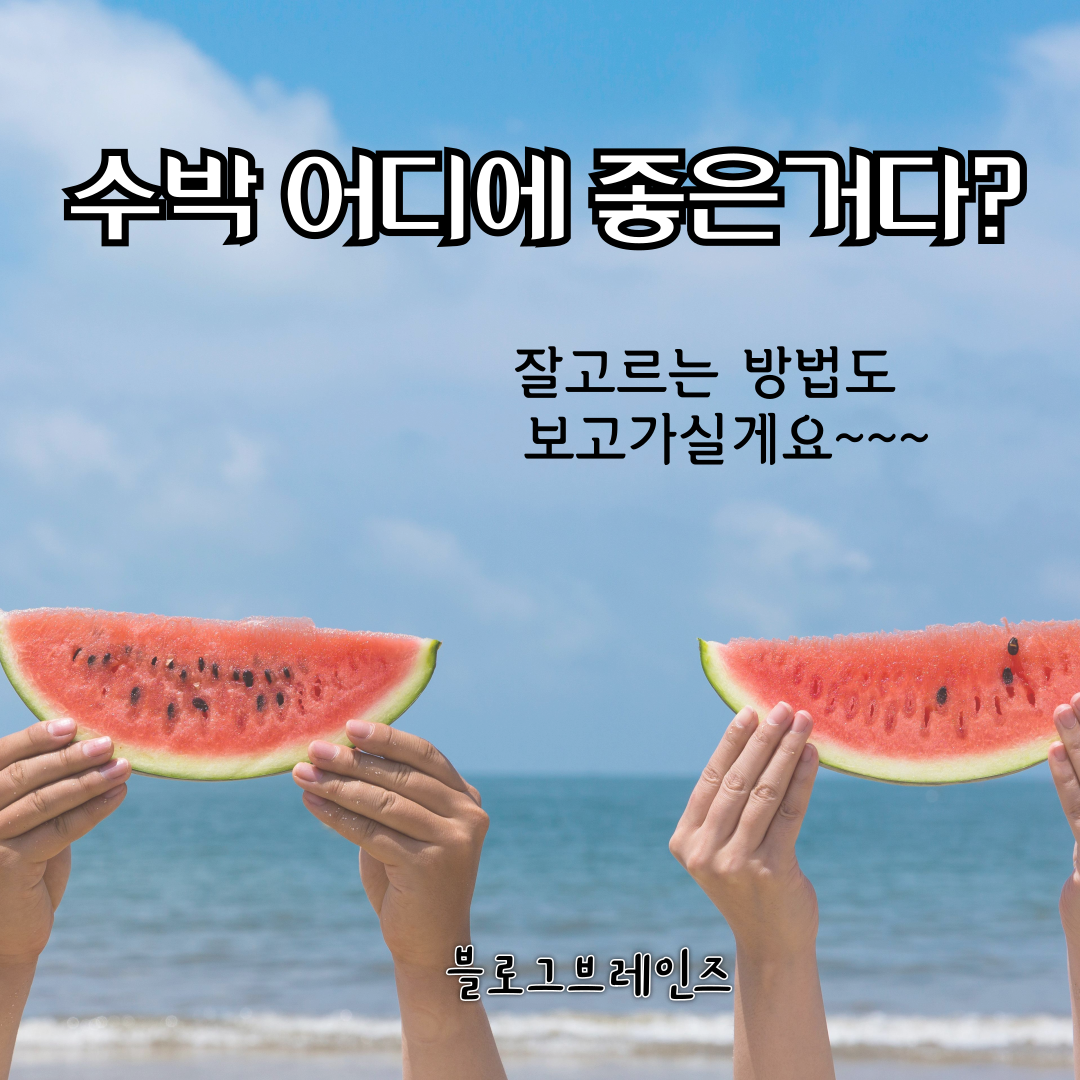 블로그브레인즈