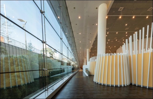 선크림 추천, 피부과 의사들의 필수템 공유(+올리브영, 다이소)