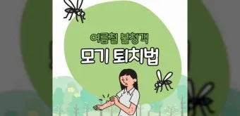 모기 박사님 추천 모기 퇴치법과 여름철 모기 없는 집 만들기 실전 전략_16