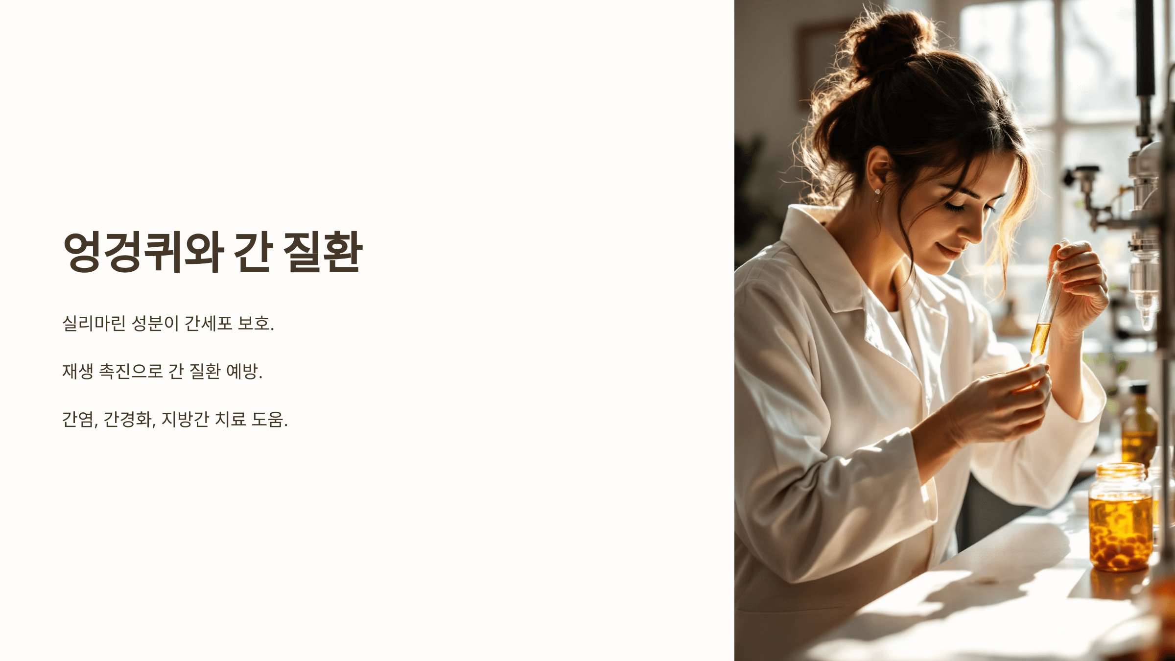 엉겅퀴와 관련된 사진입니다.