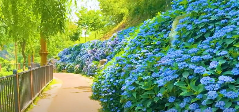 월아산-숲속의-진주