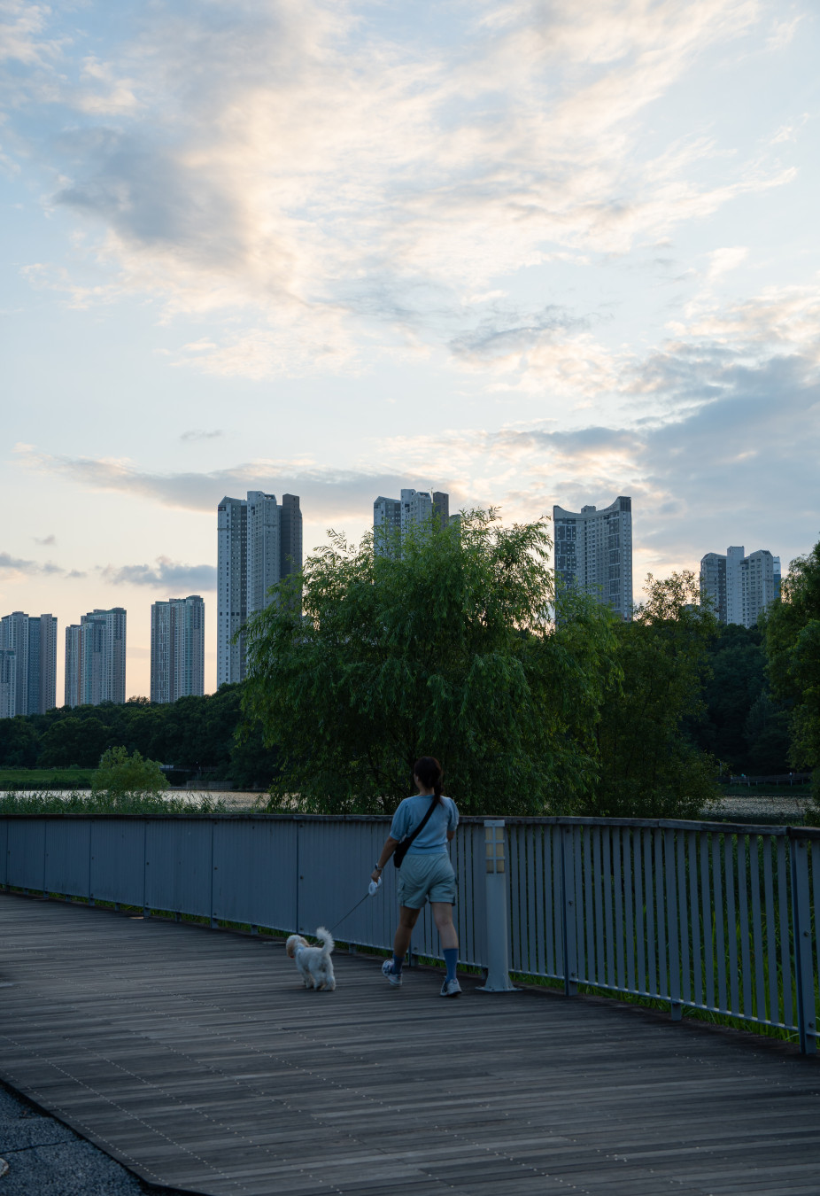 신대호수 나무데크 산책로