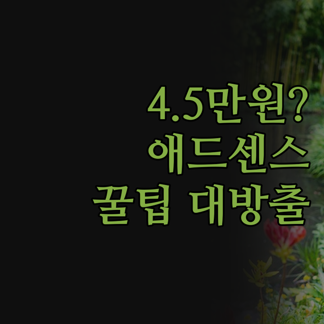 워드프레스 블로그 제작, 45,000