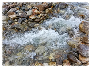 양양의 숨은 명소 법수치계곡