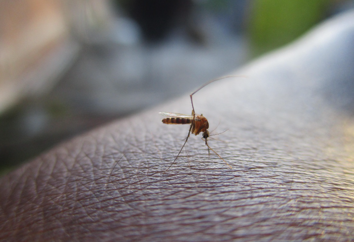 자외선 모기퇴치기 효과, 제대로 알고 똑똑하게 사용하는 법!