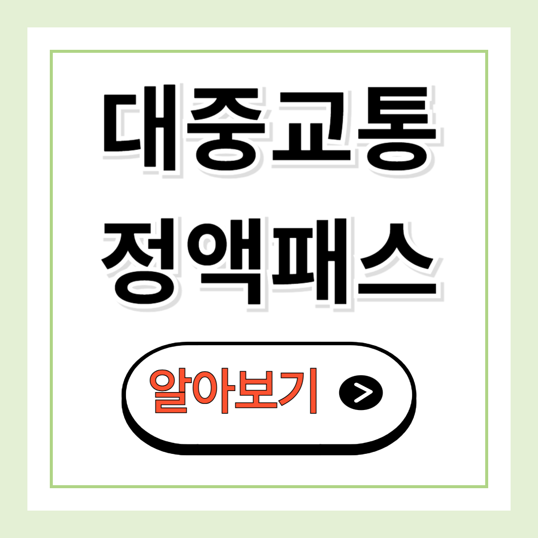 대중교통 정액패스