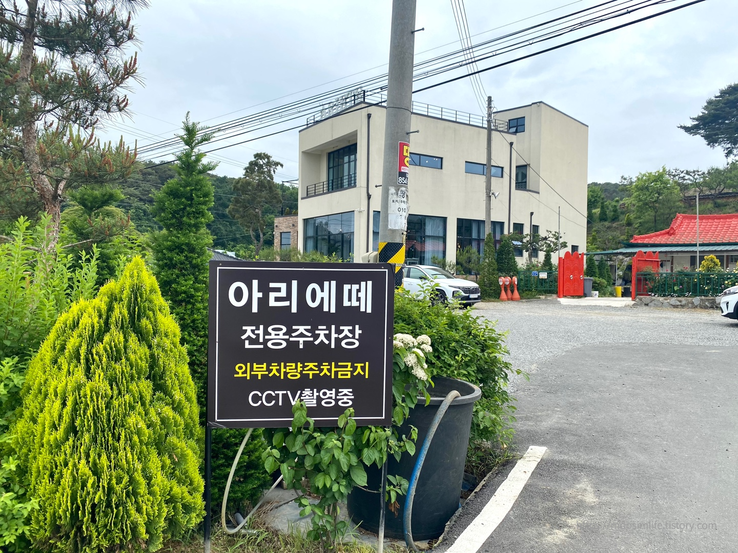 세종-아리에떼-정원카페