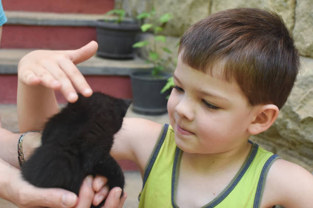 처음 키우기 쉬운 고양이