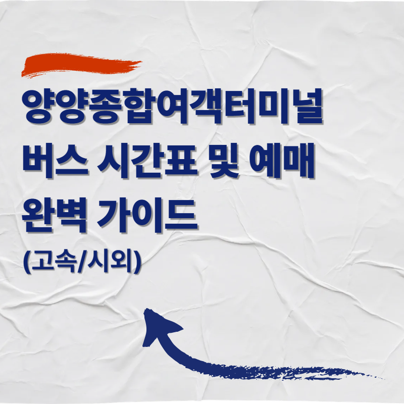 양양종합여객터미널 버스 시간표 및 예매 완벽 가이드 (고속/시외)