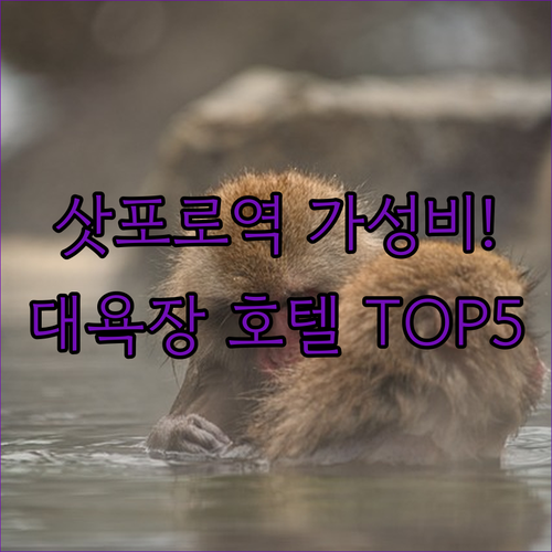 삿포로역 근처 가성비 숙소 추천 온천..