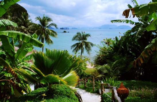 [1-2월 태국방콕 파타야치앙마이 여행준비물] 날씨 해외로밍 (2025최신)