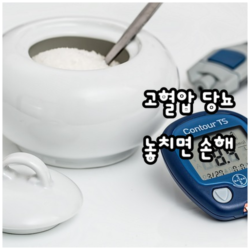 2025 횡성군 고혈압·당뇨 관리 지..