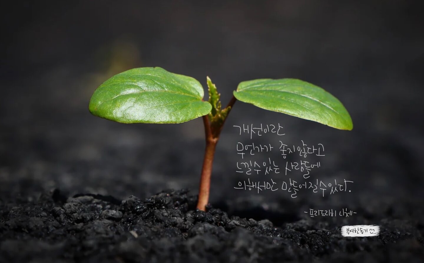 [프레드리히 니체