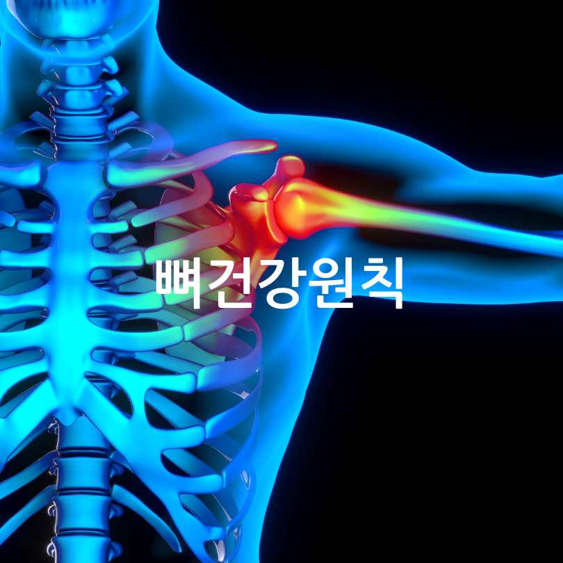 뼈튼튼운동법