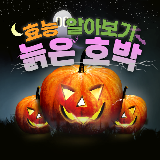 늙은 호박이 포스팅의 주제임을 알려주는 썸네일