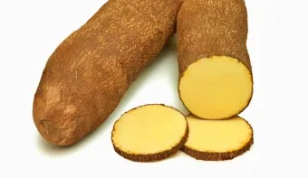 마 효능 보관법 먹는법 마즙 만들기까지 종합 가이드_12