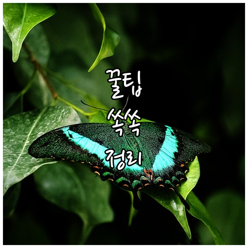 자동차 리스, 신용등급 관리부터 계약