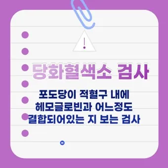 나이별 당화혈색소 수치 목표 기준_16