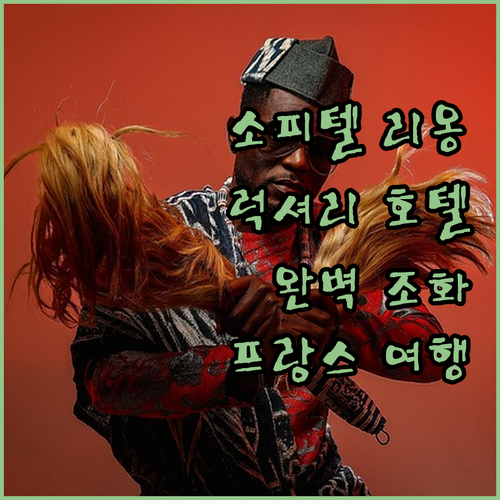 소피텔 리옹 벨쿠르? 럭셔리와 편안함