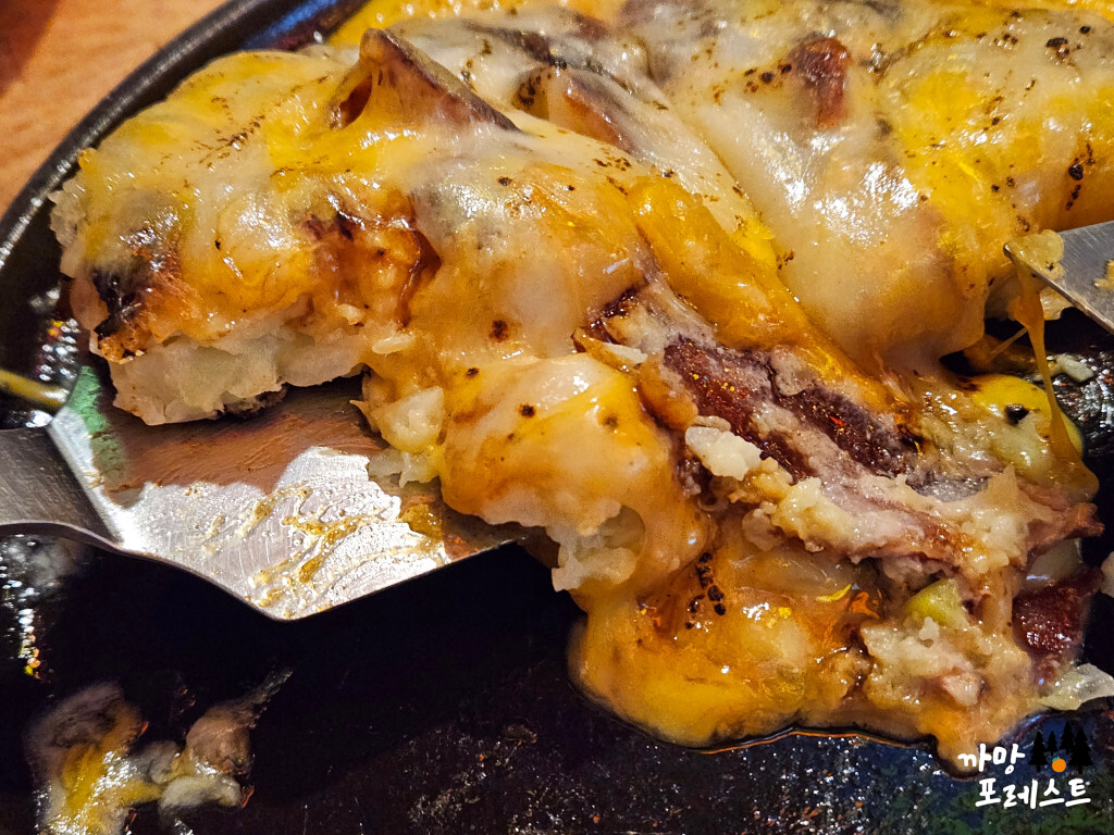 건대 포비 콰트로치즈타마