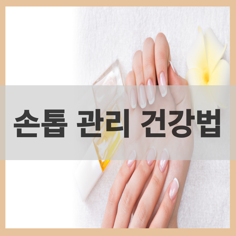 손톱 관리 건강법 손톱 특징 알기