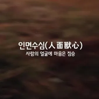 금수 뜻 유래 한자 비슷한 말 예문 영어 속담 반대말_5