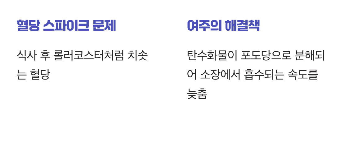 2. 식후 혈당 스파이크를 막는 든든한 방패