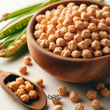 철분 많은 음식