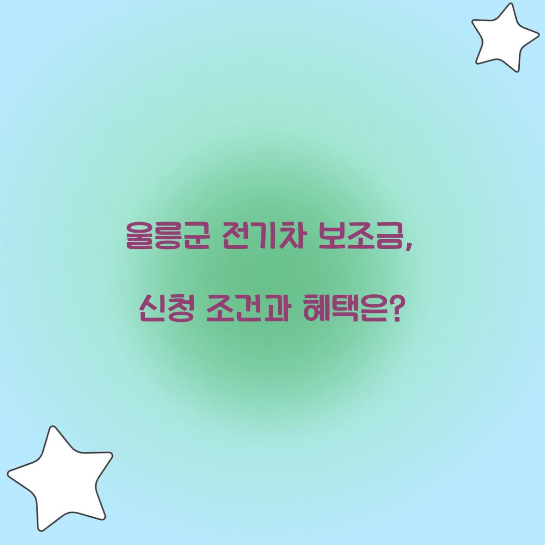 울릉군 전기차 보조금