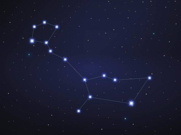 별자리 탐험 시리즈: 고래자리