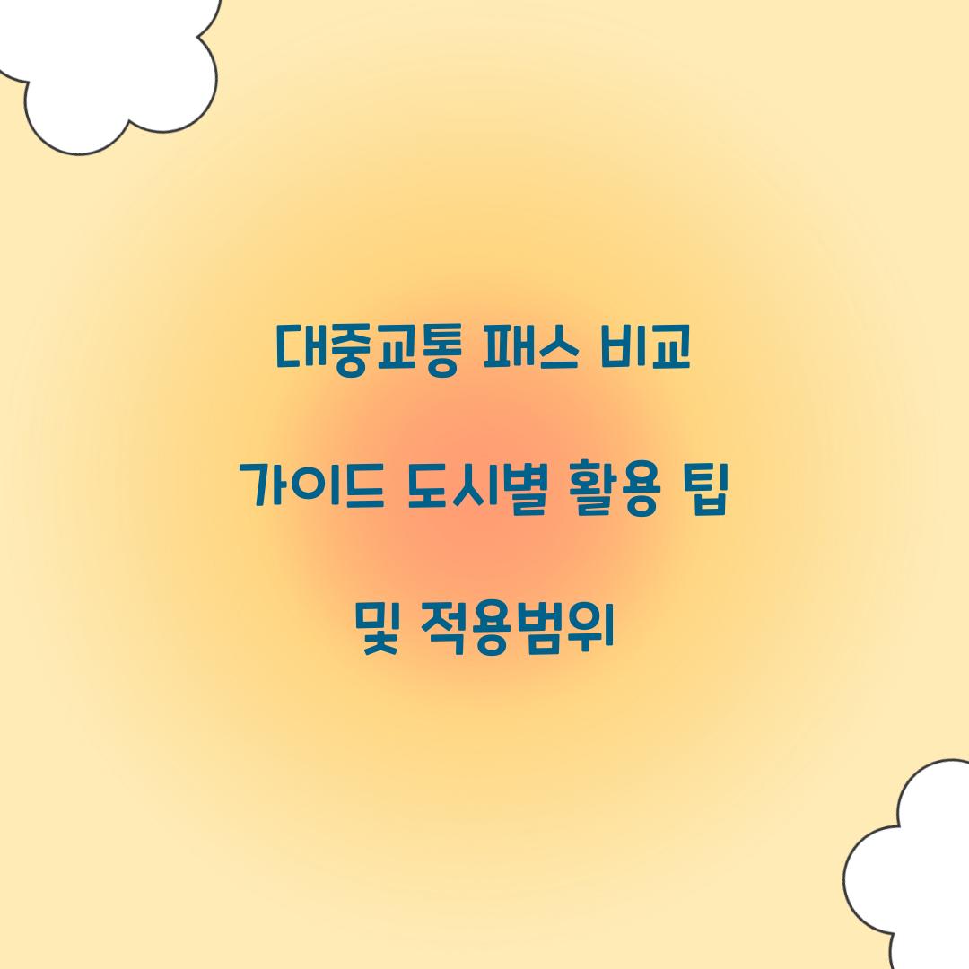 대중교통 패스