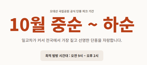 오대산 선재길 단풍