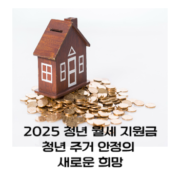 청년 월세 지원금 가이드