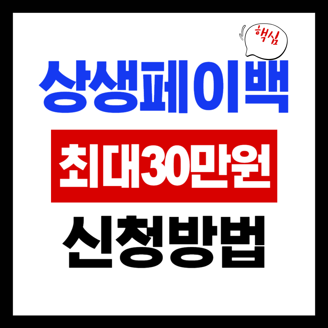 상생페이백 신청 방법 총정리! 최대 30만원 환급!!