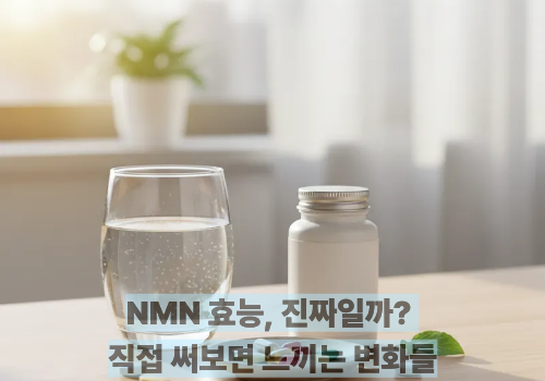 NMN 효능, 진짜일까? 직접 써보면 느끼는 변화들