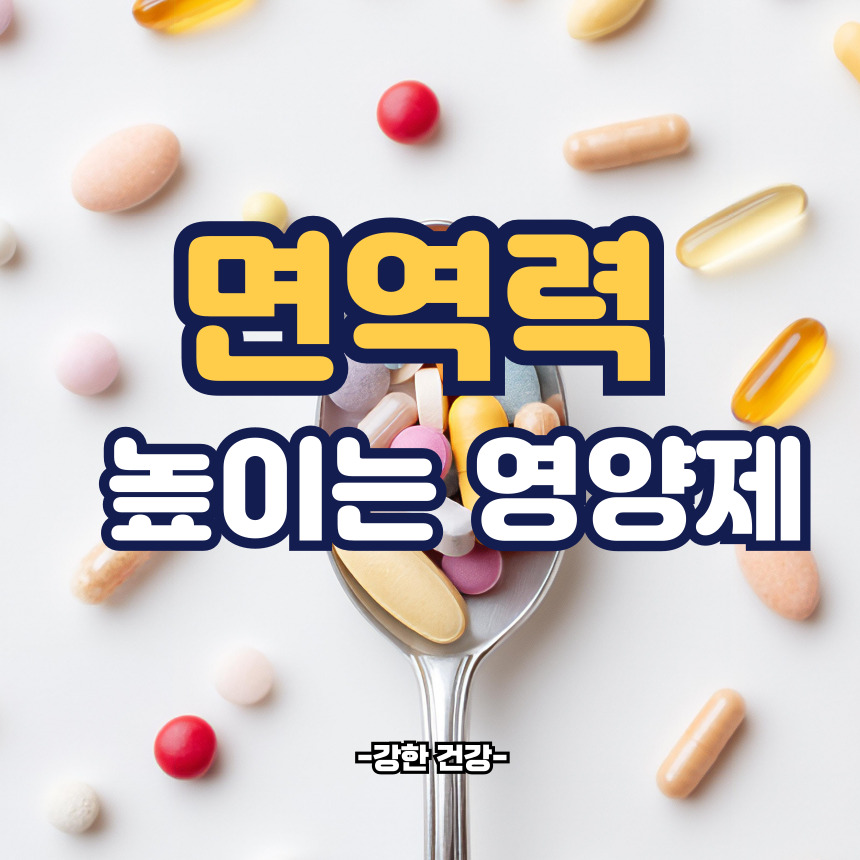 면역력 높이는 영양제