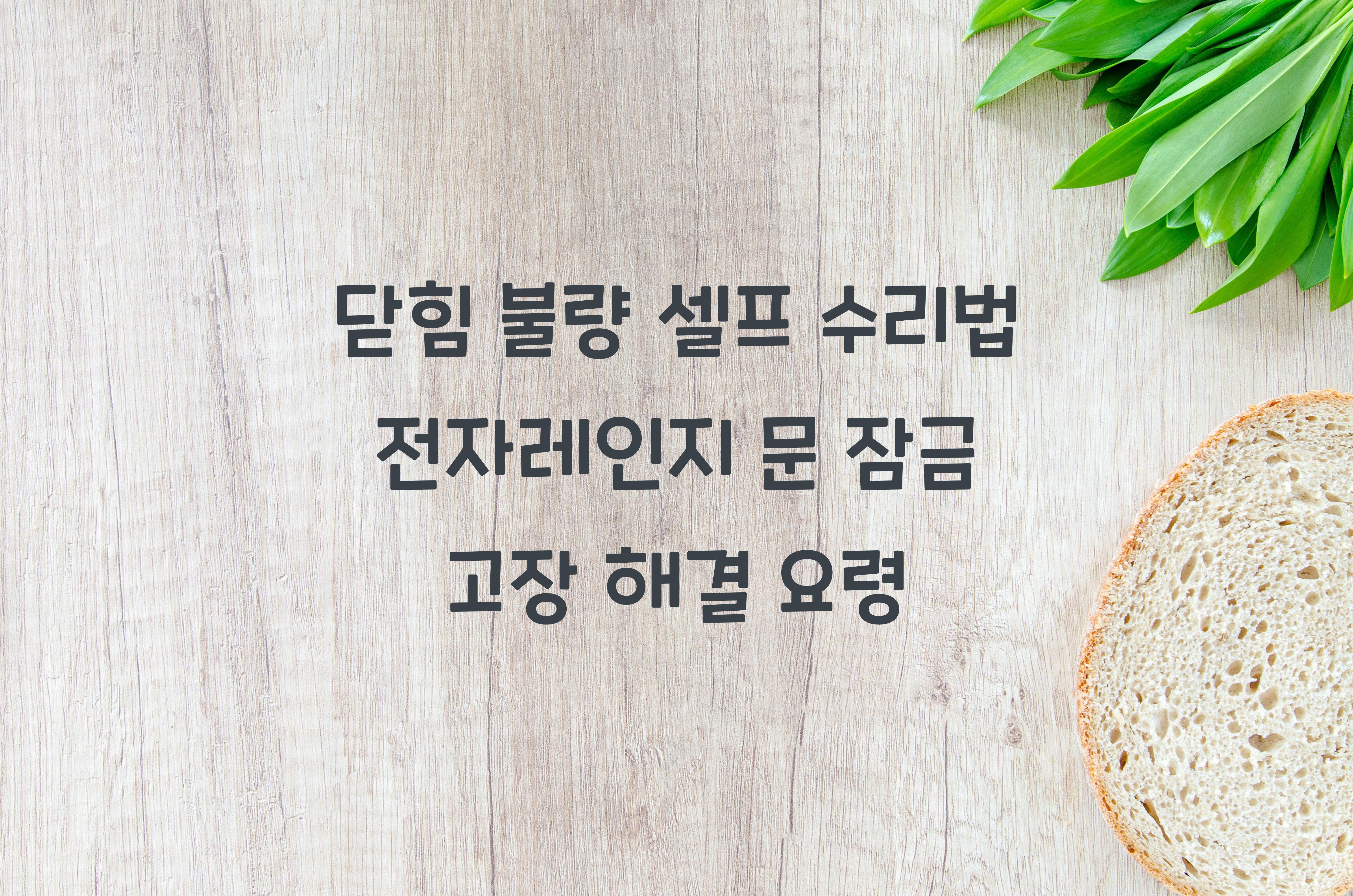 전자레인지 문 잠금 고장 해결 요령