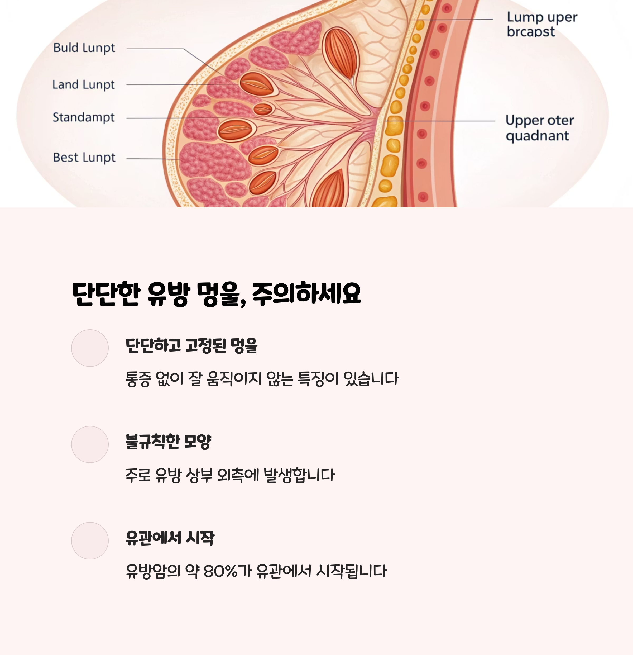 단단하고 움직이지 않는 유방 멍울