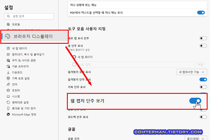 웹 캡처 버튼 표시 설정