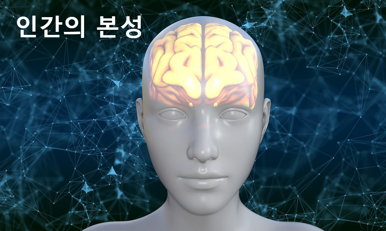 인간의 뇌