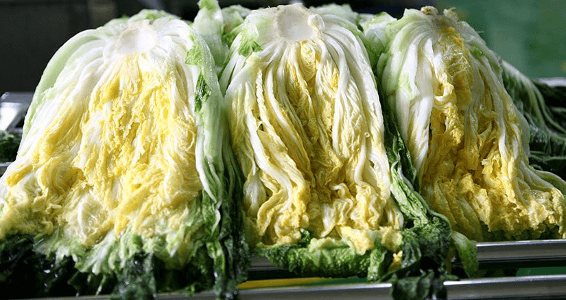 해남 절임배추 20kg 사전예약 가격비교