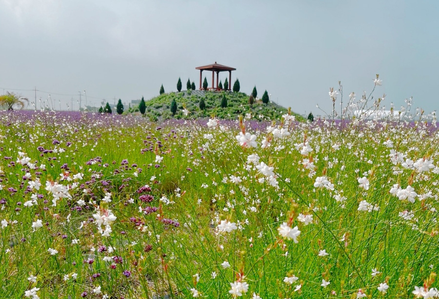 충청남도 태안군파크골프장 소개
